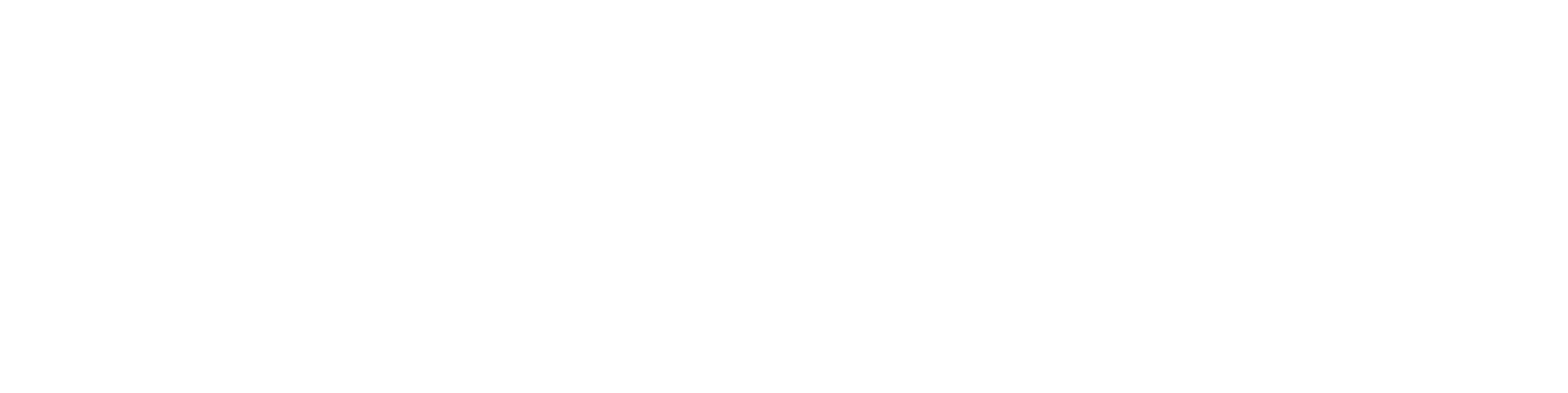 Twinzo horizontal logo